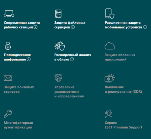 ESET PROTECT Advanced
Мощная защита рабочих станций
от программ-вымогателей и «0-дневных» угроз.